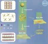 Defect-rich MnOx nanobelts prepared for glutathione detection in recent study