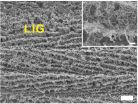 Defects are perfect in laser-induced graphene 2