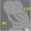 Defects are perfect in laser-induced graphene 3