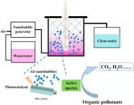 Degradation of Rhodamine B in the photocatalytic reactor containing TiO2 nanotube arrays coupled with nanobubbles