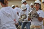 Delta Air Lines Executives Travel Near and Far To Take Part in Home Rehabilitation as Part Of Commitment to Habitat For Humanity