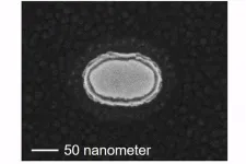 Demonstrating the worlds fastest spintronics p-bit