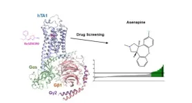 Demystifying a key receptor in substance use and neuropsychiatric disorders