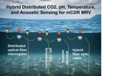 Deploying sensor nets to measure ocean CO2 and pH from the surface to the depths