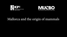 Described in Mallorca the worlds oldest ancestor of mammals