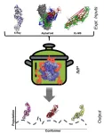 Designing antivirals for shape-shifting viruses