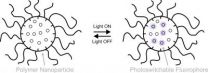 Designing tiny molecules that glow in water to shed light on biological processes