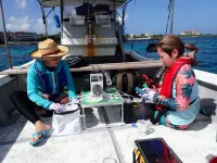 Detecting coral biodiversity in seawater samples