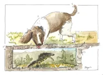 Detection dog can sniff out highly-endangered great crested newts