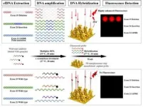 Detects cancer genes with ultra-high sensitivity! 2