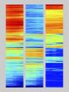 Determining a stem cells fate 