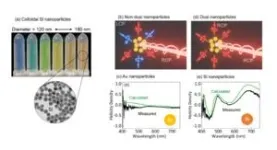 Developing a nano-antenna that forms a near field of circularly polarized light:  Promising applications in highly sensitive sensing and asymmetric photochemical reactions for molecular chirality 2