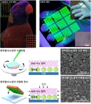 Developing innovative new display technologies! Create ultrahigh-definition screens efficiently!