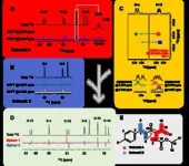 Developing NMR method for drug structure elucidation 2