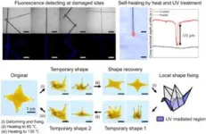 Developing zero-waste, sustainable smart polymer materials 3