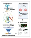 Development of a global innovative drug in eye drop form for treating dry age-related macular degeneration