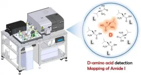 Development of a multidimensional vibrational circular dichroism system with a quantum cascade laser