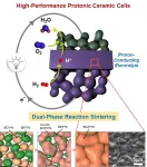 Development of a new electrolyte synthesis method for next-generation fuel cells: a step closer to green hydrogen production