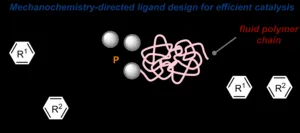 Development of a photonic dispersion solver 2