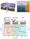 Development of real-time trace hydrogen gas leakage via a novel terahertz-wave optical platform