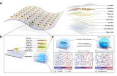 DGIST-POSTECH joint research team developed next-generation impact-resistant stretchable electronic component