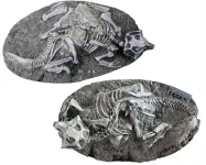 Did the worlds best-preserved dinosaurs really die in Pompeii-type events?