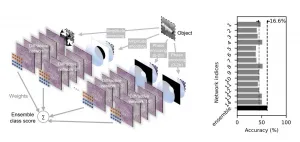 Diffractive networks light the way for optical image classification