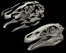 Digital dinosaurs: New research employs high-end technology to restore dinosaur fossil 2