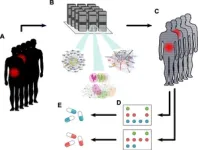 Digital twin opens way to effective treatment of inflammatory diseases 2