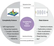 Digital twins and complexity data science