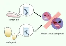 Dine on DNA: Compounds from nucleic acids in food show anticancer effects