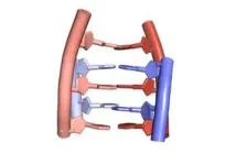 Dine on DNA: Compounds from nucleic acids in food show anticancer effects 3