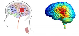 Direct current stimulation of the brain over Wernickes area can help people learn new words