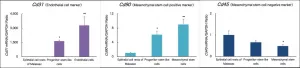 Direct reprogramming of oral epithelial cells into mesenchymal-like cells