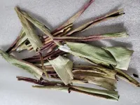 Discarded aloe peels could be a sustainable, natural insecticide (video)