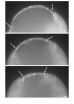 Discovering a new force driving cell contraction during development and organogenesis