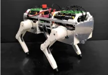 Discovering candidate for reflex network of walking cats: Understanding animals with robots