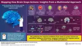 Discovering the mechanism behind brain’s inhibition network: From vision to action control