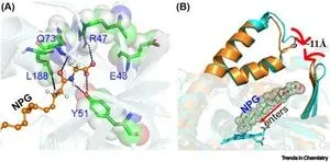 Discovery in nanomachines within living organisms - cytochromes P450 (CYP450s) unleashed as living soft robots 3