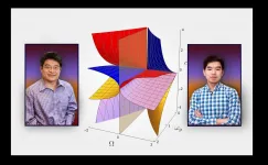 Discovery of 10 faces of plasma leads to new insights in fusion and plasma science