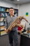 Discovery of 3,775-year-old preserved log supports ‘wood vaulting’ as a climate solution 2