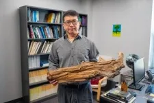 Discovery of 3,775-year-old preserved log supports ‘wood vaulting’ as a climate solution 3