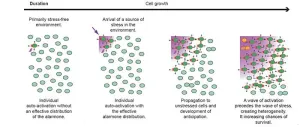 Discovery of a new defense mechanism in bacteria