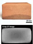 Discovery of a new defense mechanism in bacteria 2