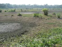 Discovery of a unique drainage and irrigation system that gave way to the “Neolithic Revolution” in the Amazon