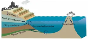 Discovery of invisible nutrient discharge on Great Barrier Reef raises concerns