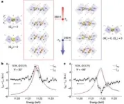 Discovery of magnetic liquid crystal 2