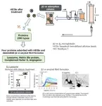 Discovery of proteins associated with the progression of dialysis-related amyloidosis 3