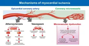 Disease of the smallest heart blood vessels is important global health problem