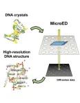 Displaying the design of DNA